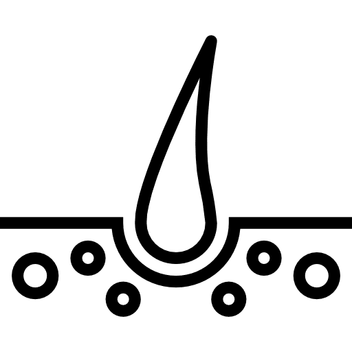 Implante Capilar Natural